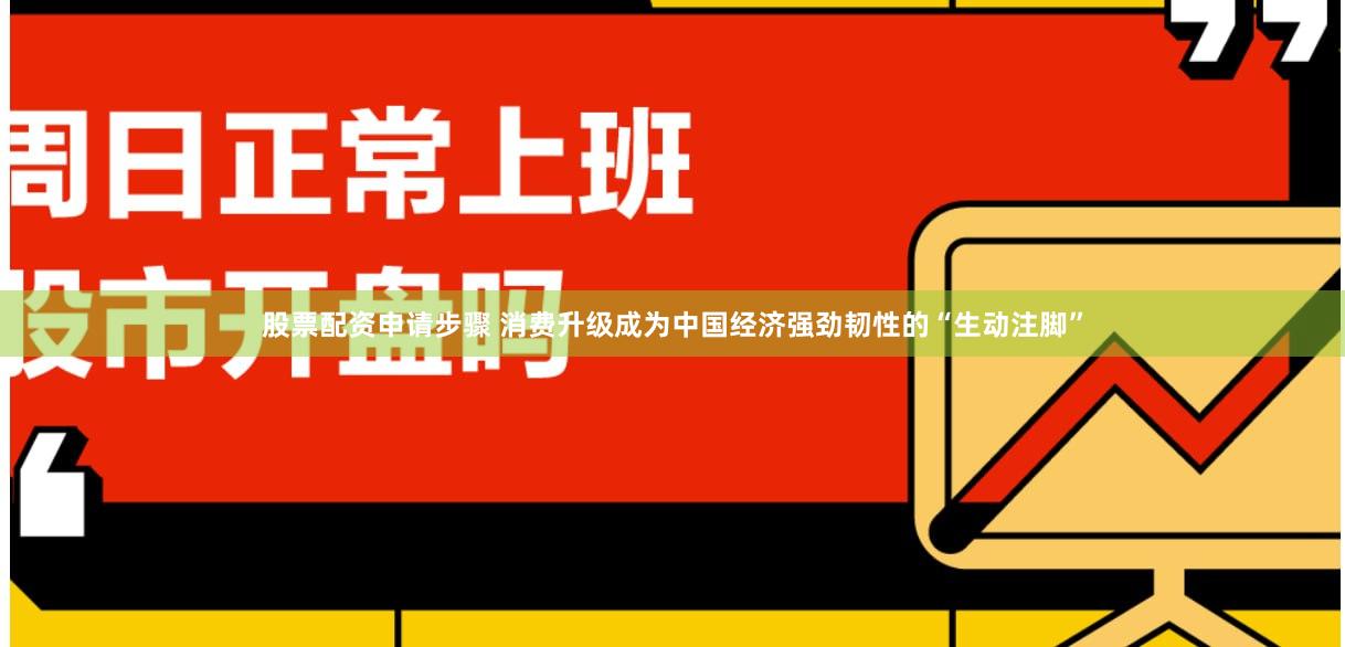 股票配资申请步骤 消费升级成为中国经济强劲韧性的“生动注脚”