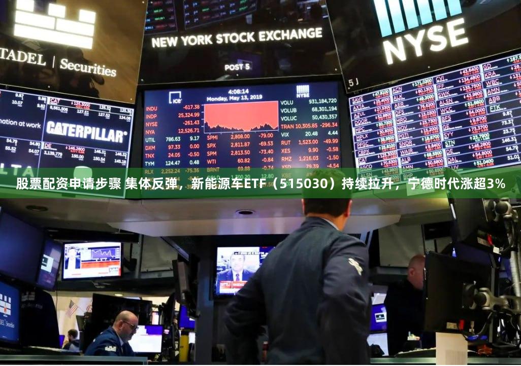 股票配资申请步骤 集体反弹，新能源车ETF（515030）持续拉升，宁德时代涨超3%